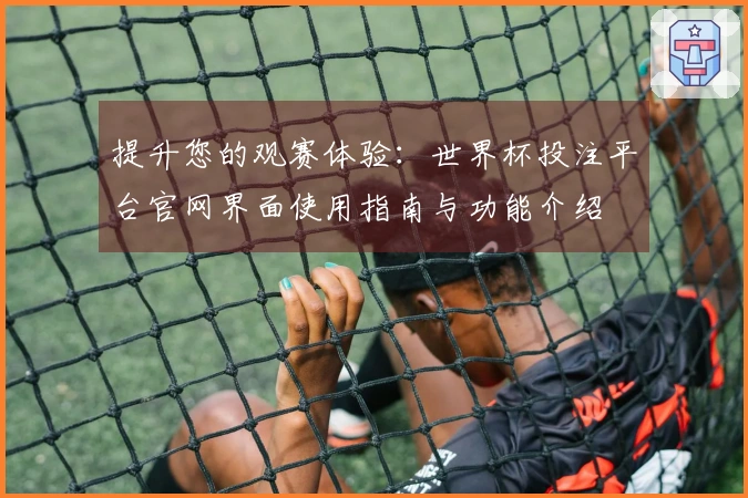 提升您的观赛体验：世界杯投注平台官网界面使用指南与功能介绍