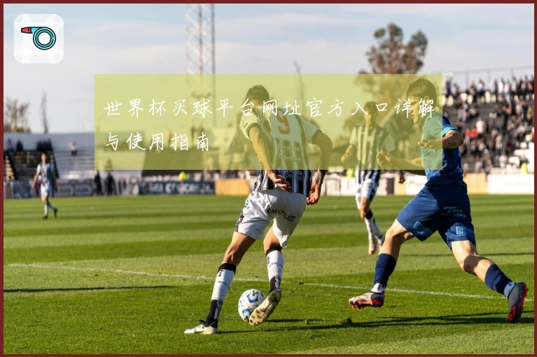 世界杯买球平台网址官方入口详解与使用指南