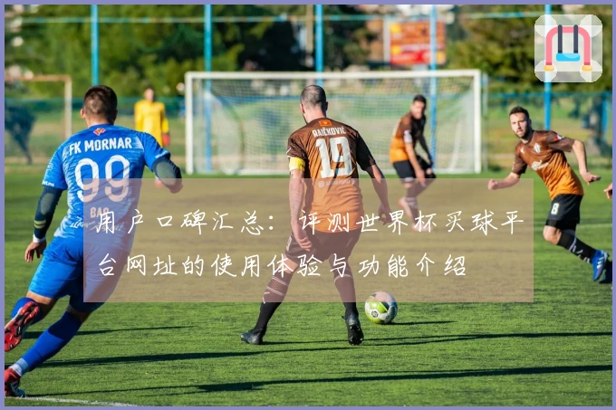 用户口碑汇总：评测世界杯买球平台网址的使用体验与功能介绍