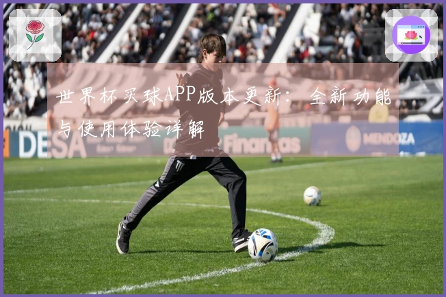 世界杯买球APP版本更新：全新功能与使用体验详解