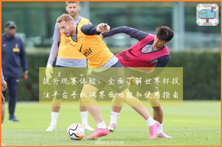 提升观赛体验，全面了解世界杯投注平台手机端界面功能和使用指南