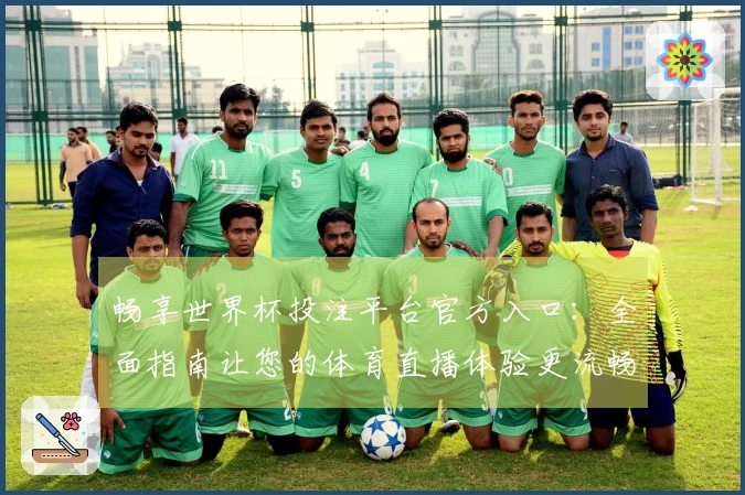 畅享世界杯投注平台官方入口：全面指南让您的体育直播体验更流畅