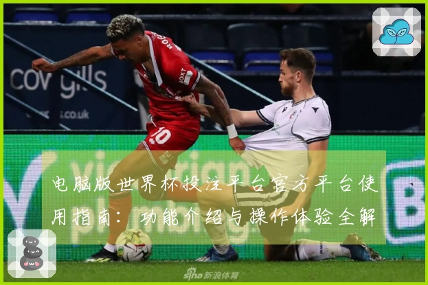 电脑版世界杯投注平台官方平台使用指南：功能介绍与操作体验全解析