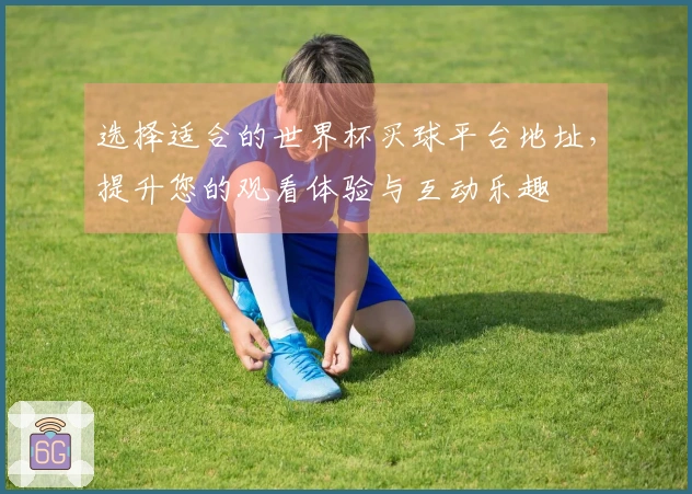 选择适合的世界杯买球平台地址，提升您的观看体验与互动乐趣