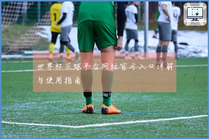 世界杯买球平台网址官方入口详解与使用指南