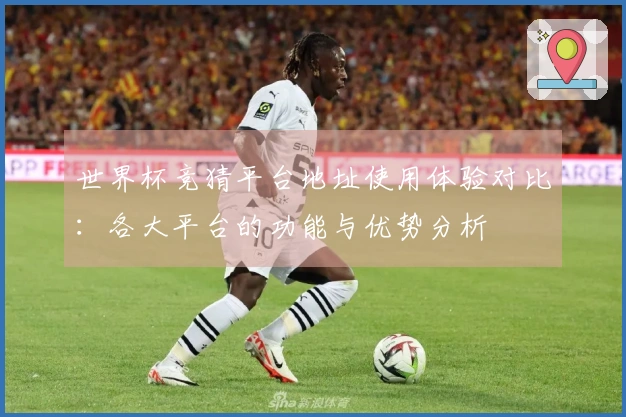 世界杯竞猜平台地址使用体验对比：各大平台的功能与优势分析