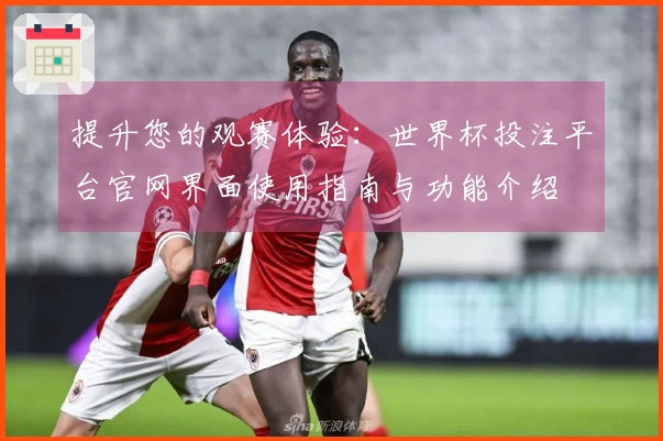 提升您的观赛体验：世界杯投注平台官网界面使用指南与功能介绍