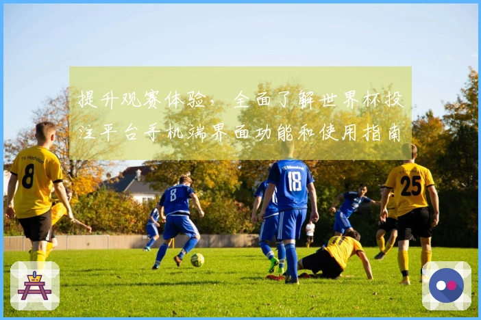 提升观赛体验，全面了解世界杯投注平台手机端界面功能和使用指南