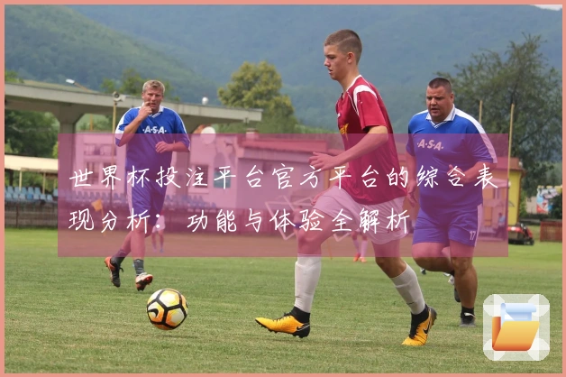 世界杯投注平台官方平台的综合表现分析：功能与体验全解析