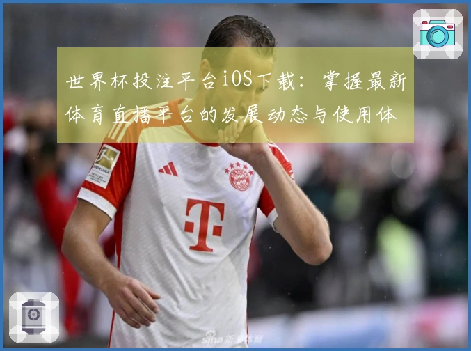 世界杯投注平台iOS下载：掌握最新体育直播平台的发展动态与使用体验